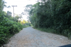 A estrada para Paraty-Mirim.