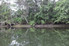 Subindo o rio Jaguareguava.