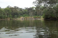 Subindo o rio Jaguareguava.