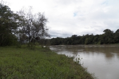 Descendo o rio Paraíba do Sul.